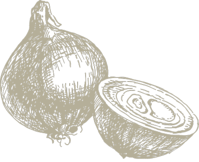 Onion sketch