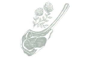 Tomahawk Steak sketch