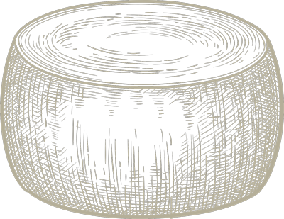 Cheese wheel sketch