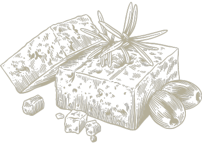 Feta Cheese Sketch
